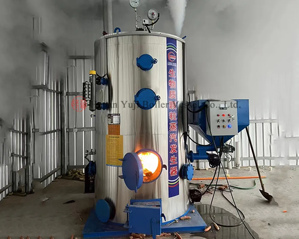 Biomass Steam Generator main diagram 3