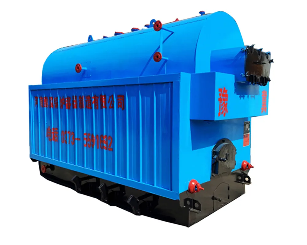 DZH Manual Coal Wood Boiler main diagram 1