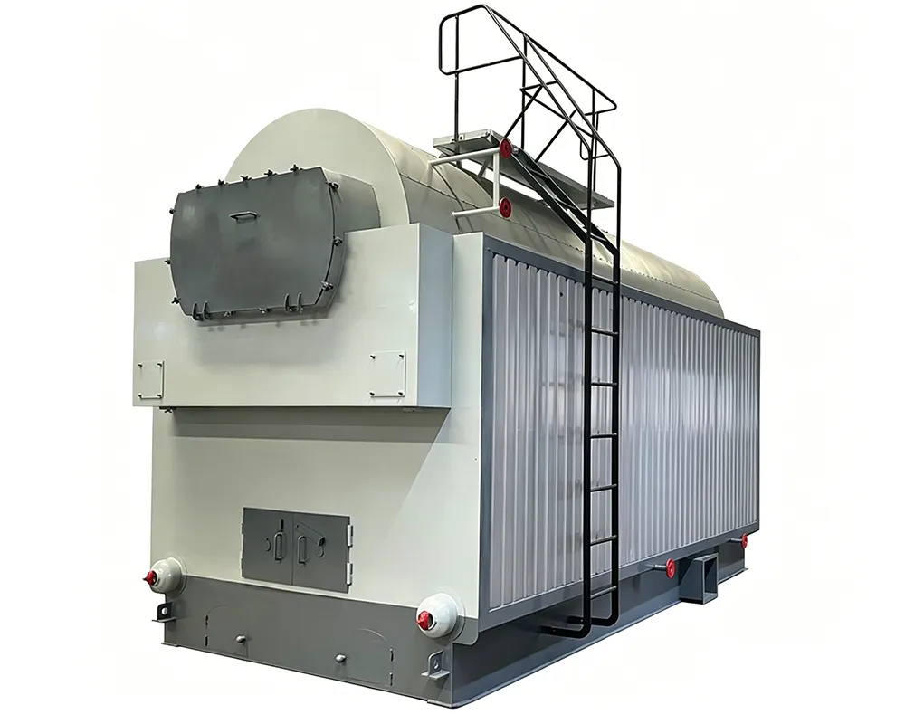 DZH Manual Coal Wood Boiler main diagram