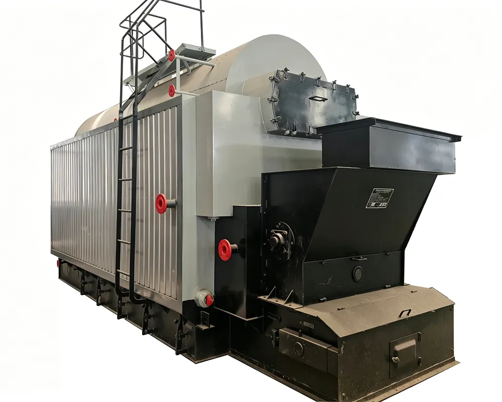 DZL Biomass Fired Chain Grate Boiler Main Diagram 5