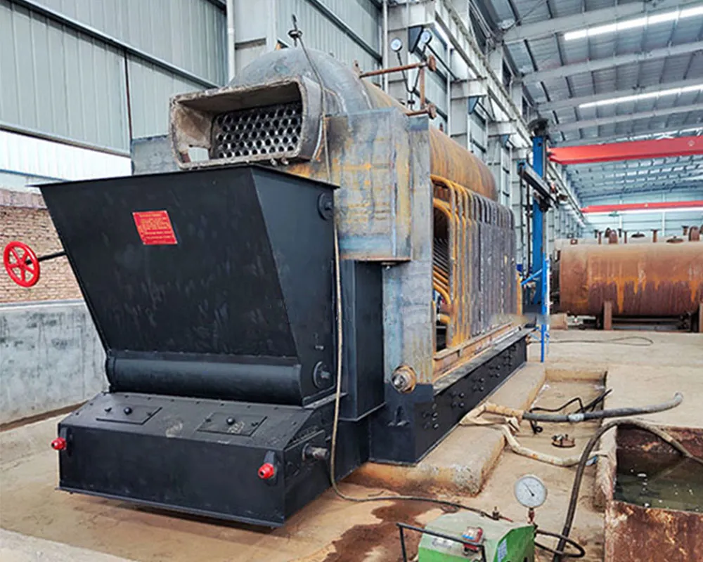 DZL Biomass Fired Chain Grate Boiler Main Diagram 5