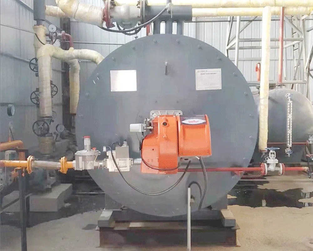 Thermal Oil Boiler Main Diagram2