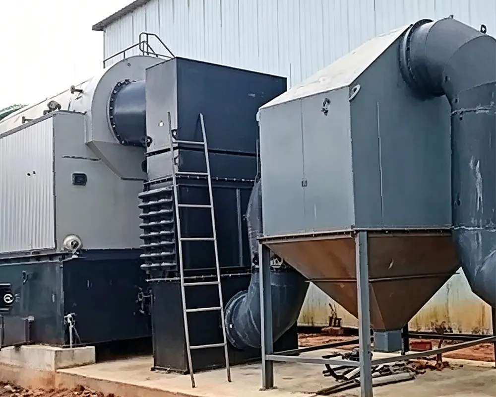 10 Th DZH Biomass Steam Boiler