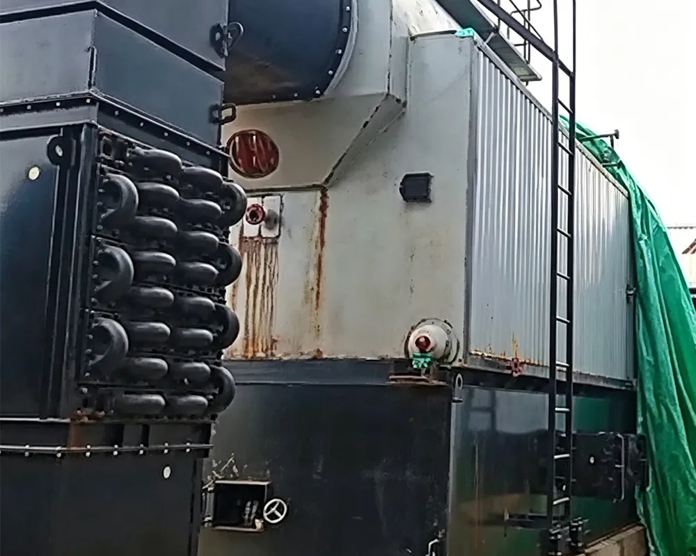 10 Th DZH Biomass Steam Boiler3