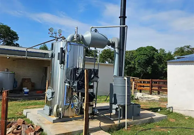 LSG0.3 biomass steam generator installed in Paraguay 2